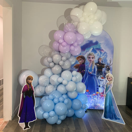 A81- Frozen Birthday